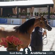 The 2018 Brazilian National Horse Show