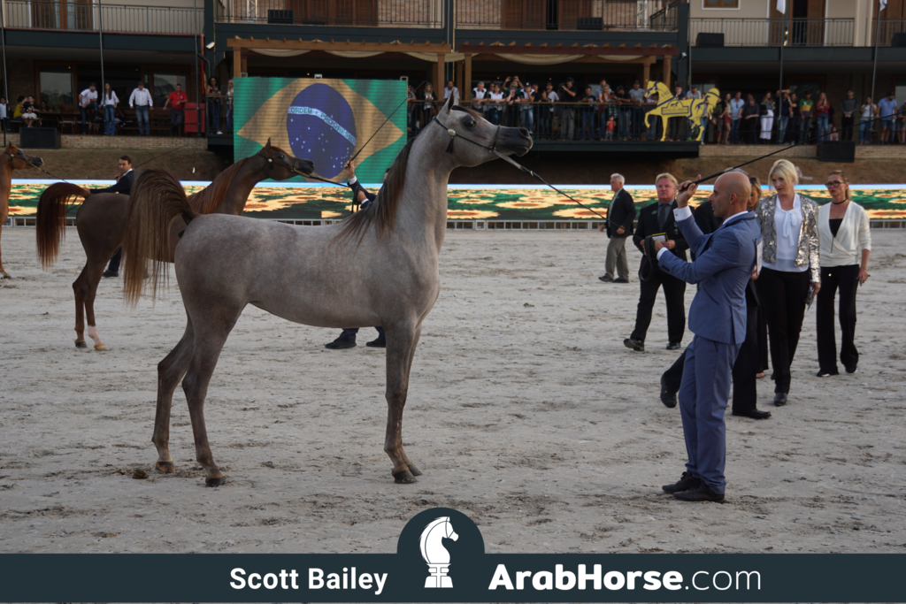 The 2018 Brazilian National Horse Show