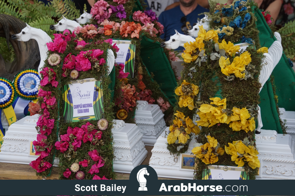 The 2018 Brazilian National Horse Show