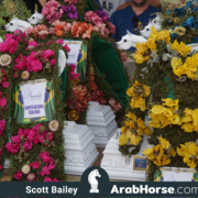 The 2018 Brazilian National Horse Show
