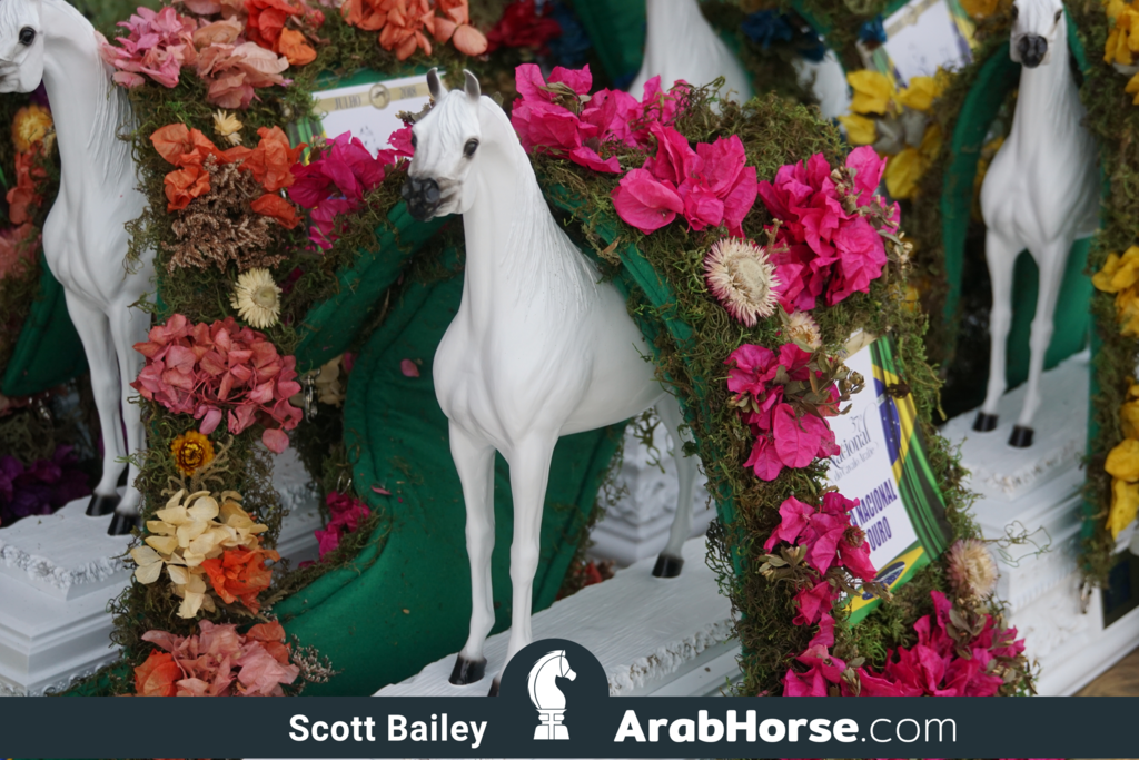 The 2018 Brazilian National Horse Show