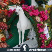 The 2018 Brazilian National Horse Show