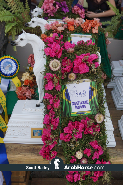 The 2018 Brazilian National Horse Show