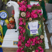 The 2018 Brazilian National Horse Show