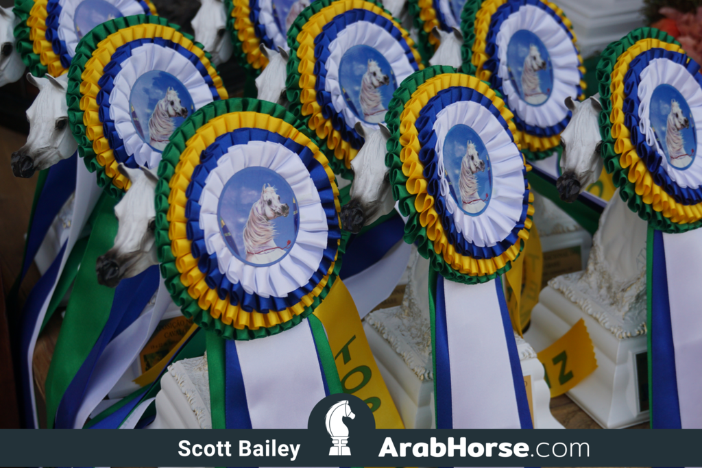 The 2018 Brazilian National Horse Show