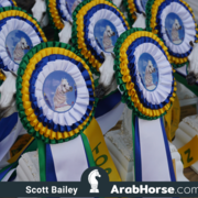 The 2018 Brazilian National Horse Show
