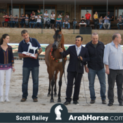 The 2018 Brazilian National Horse Show