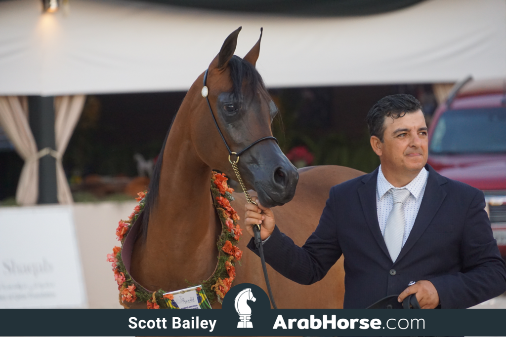 The 2018 Brazilian National Horse Show