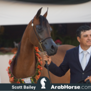 The 2018 Brazilian National Horse Show