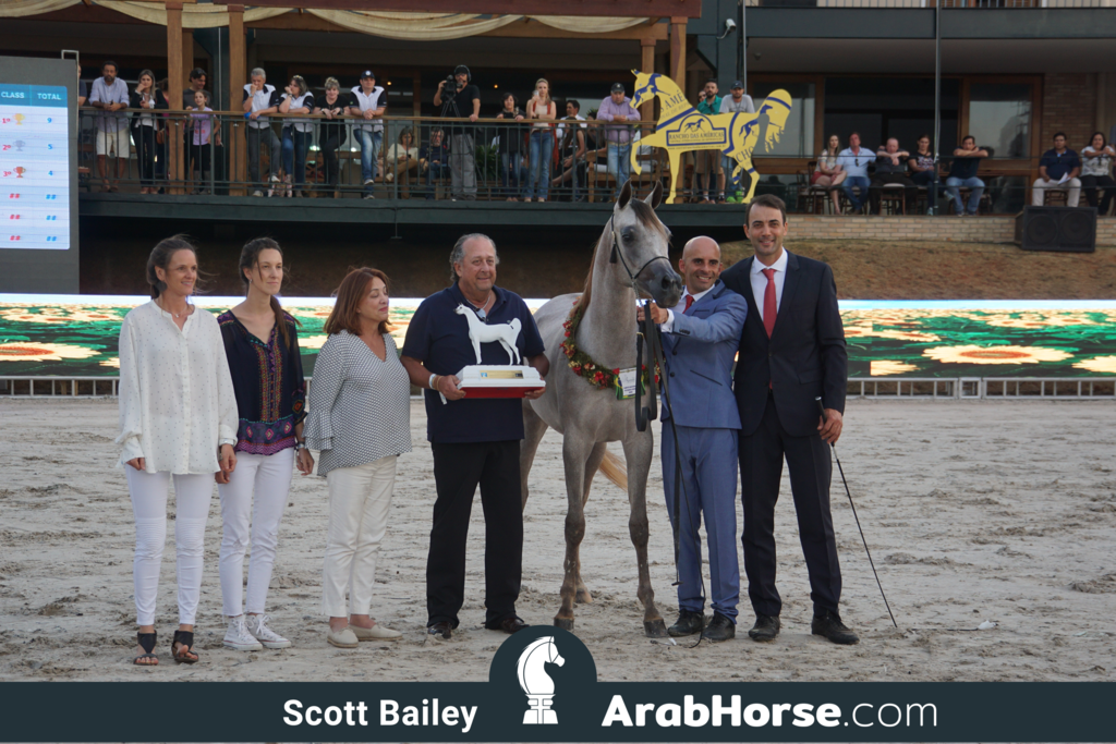 The 2018 Brazilian National Horse Show