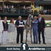 The 2018 Brazilian National Horse Show