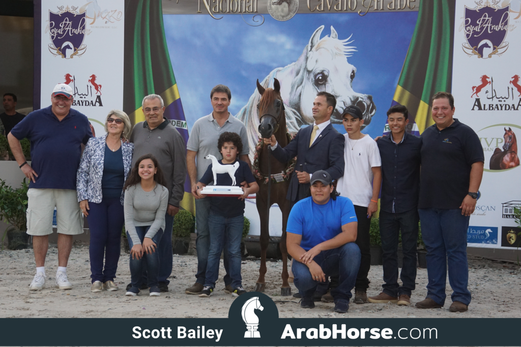 The 2018 Brazilian National Horse Show