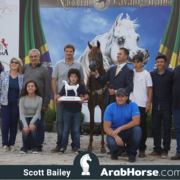 The 2018 Brazilian National Horse Show