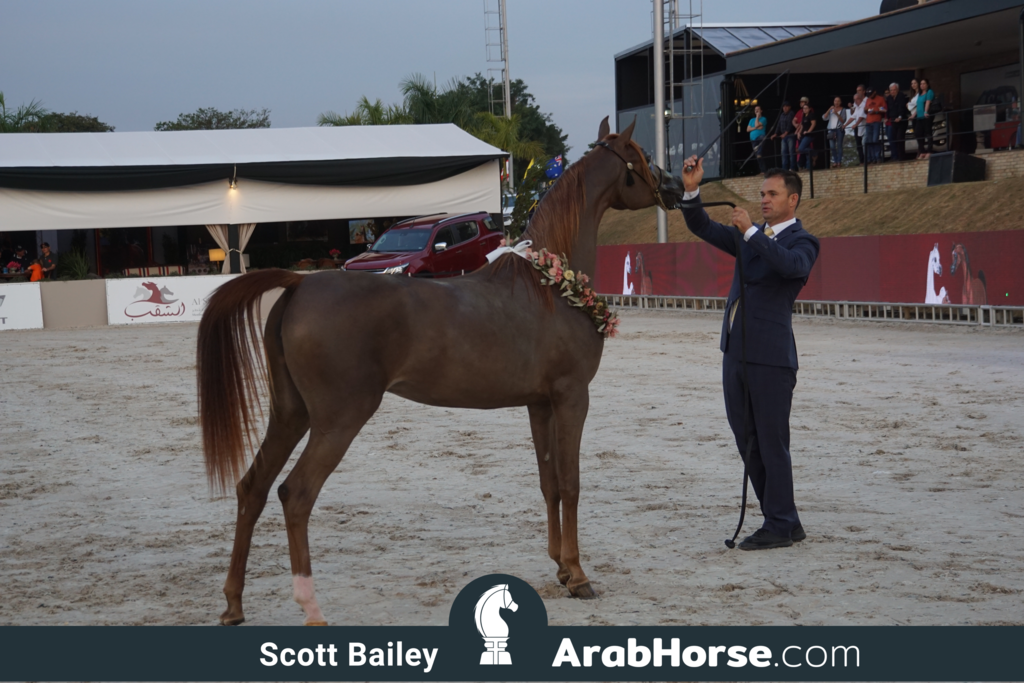 The 2018 Brazilian National Horse Show