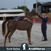 The 2018 Brazilian National Horse Show