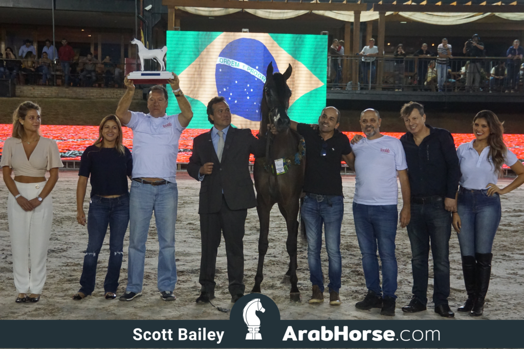 The 2018 Brazilian National Horse Show