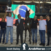 The 2018 Brazilian National Horse Show