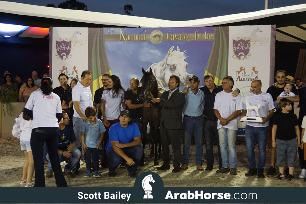 The 2018 Brazilian National Horse Show