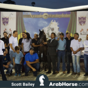 The 2018 Brazilian National Horse Show