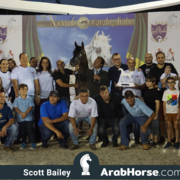 The 2018 Brazilian National Horse Show