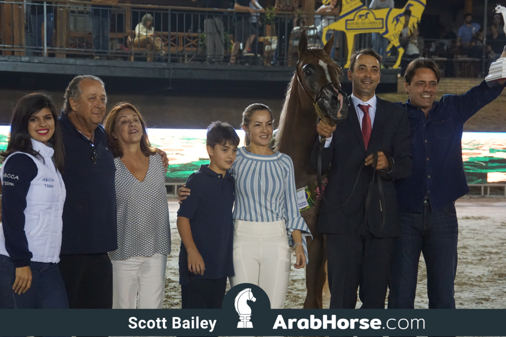 The 2018 Brazilian National Horse Show