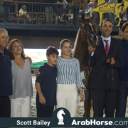The 2018 Brazilian National Horse Show