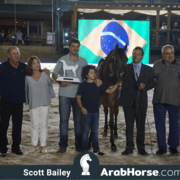 The 2018 Brazilian National Horse Show