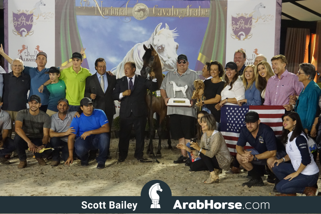 The 2018 Brazilian National Horse Show