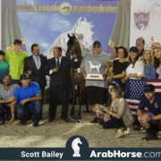 The 2018 Brazilian National Horse Show