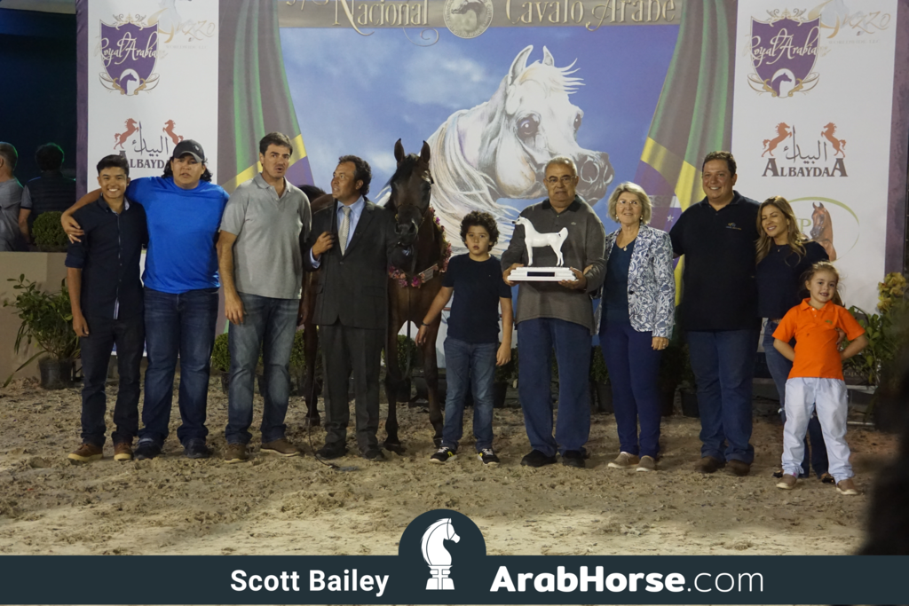 The 2018 Brazilian National Horse Show