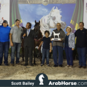 The 2018 Brazilian National Horse Show