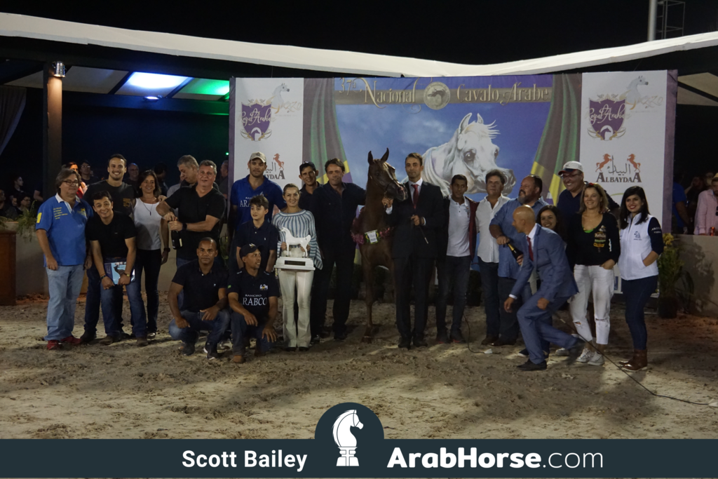 The 2018 Brazilian National Horse Show