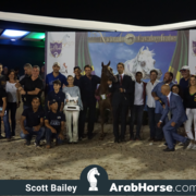 The 2018 Brazilian National Horse Show