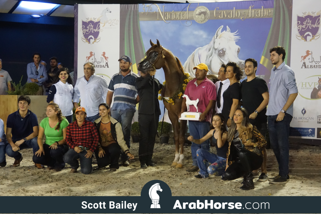 The 2018 Brazilian National Horse Show