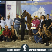 The 2018 Brazilian National Horse Show