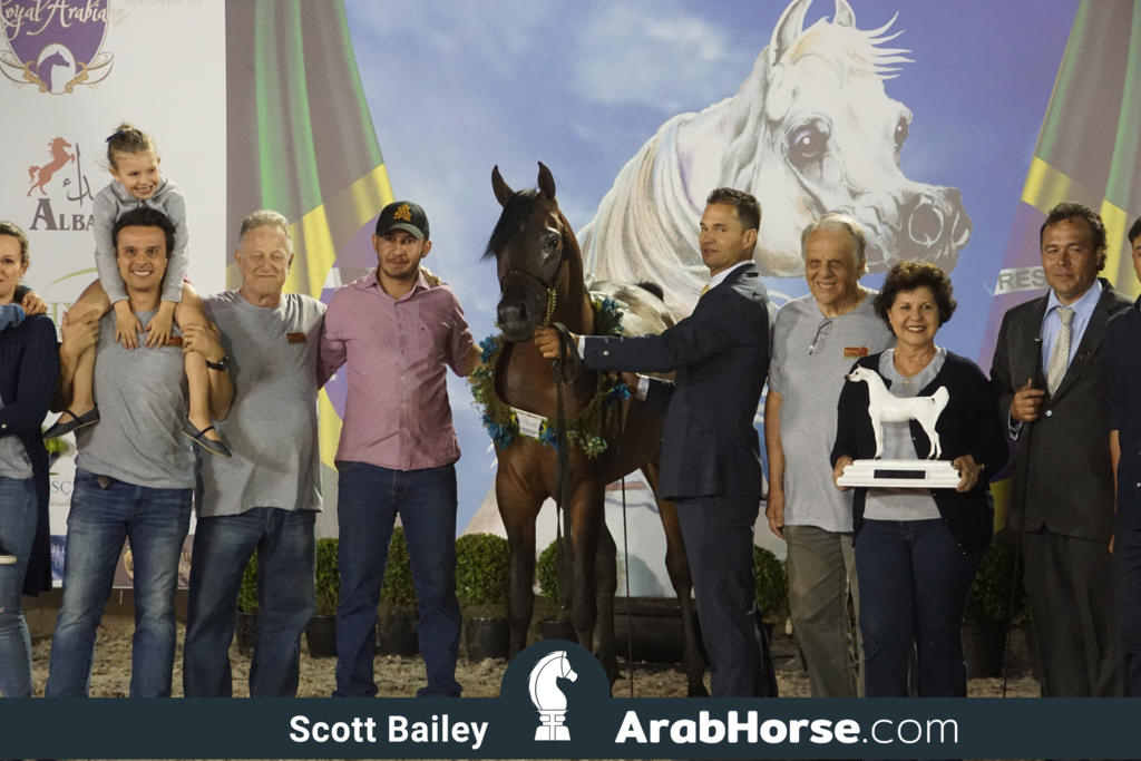 The 2018 Brazilian National Horse Show