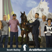 The 2018 Brazilian National Horse Show