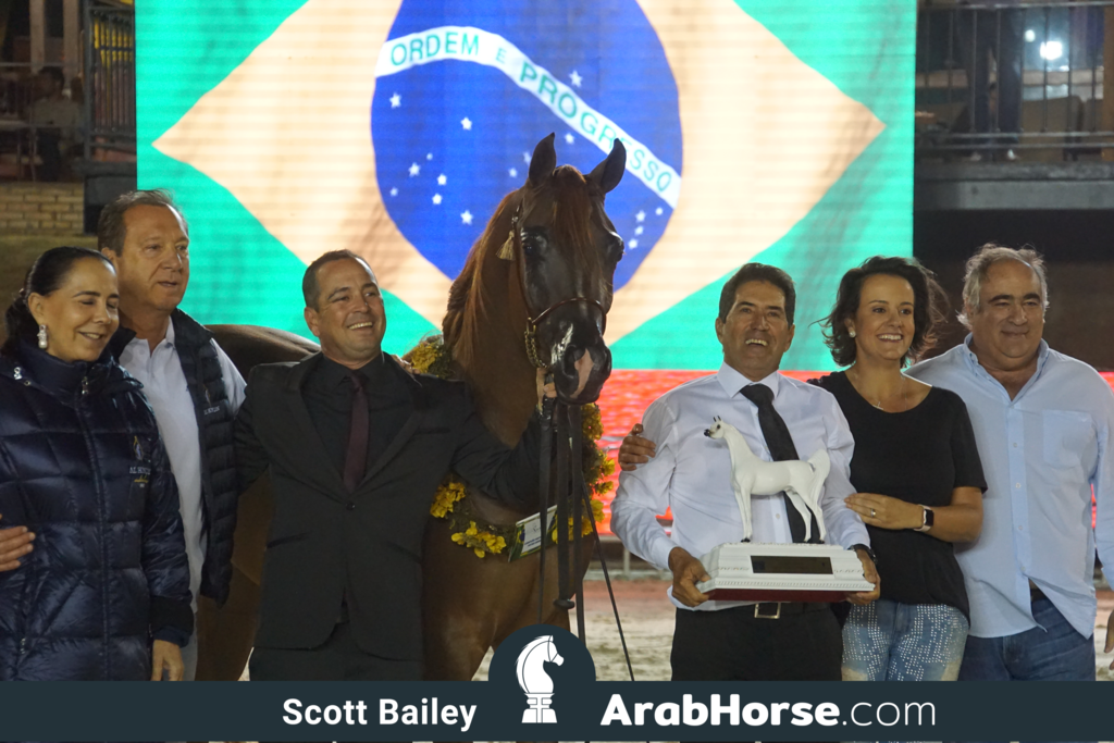 The 2018 Brazilian National Horse Show