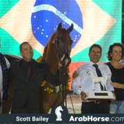 The 2018 Brazilian National Horse Show