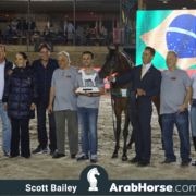 The 2018 Brazilian National Horse Show