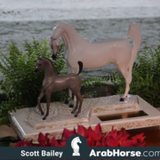 The 2018 Brazilian National Horse Show