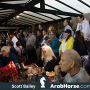 The 2018 Brazilian National Horse Show