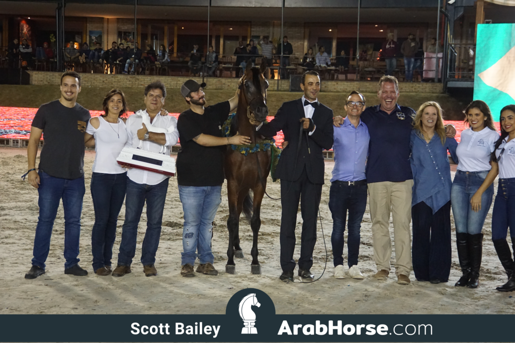The 2018 Brazilian National Horse Show