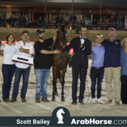 The 2018 Brazilian National Horse Show