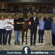 The 2018 Brazilian National Horse Show