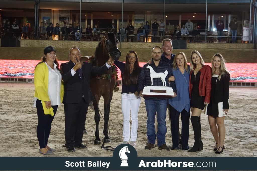 The 2018 Brazilian National Horse Show