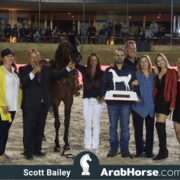 The 2018 Brazilian National Horse Show