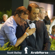 The 2018 Brazilian National Horse Show