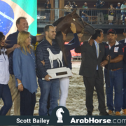 The 2018 Brazilian National Horse Show
