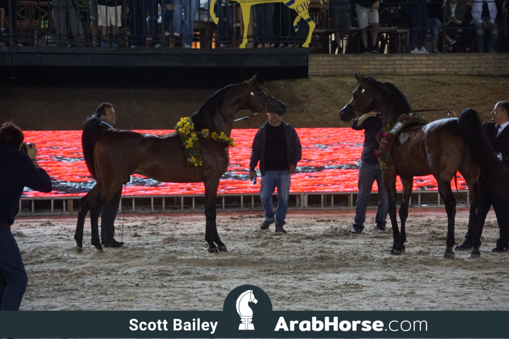 The 2018 Brazilian National Horse Show